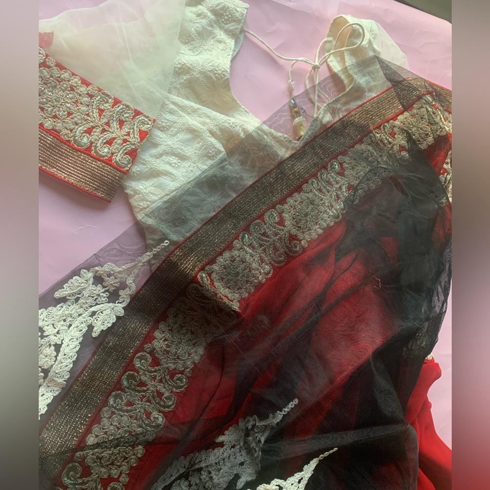 Black red sari net mesh gujurati style cream embroidered $ designer RANG company - Picture 3 of 4
